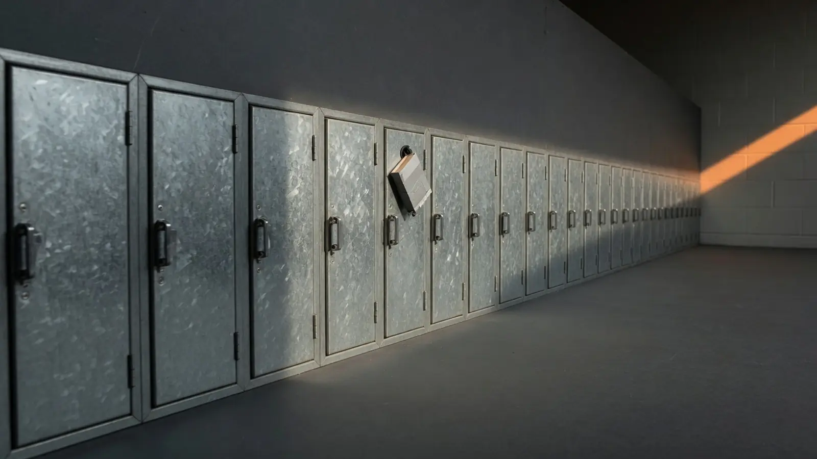 Newton County School System Listed by qilin Ransomware Group