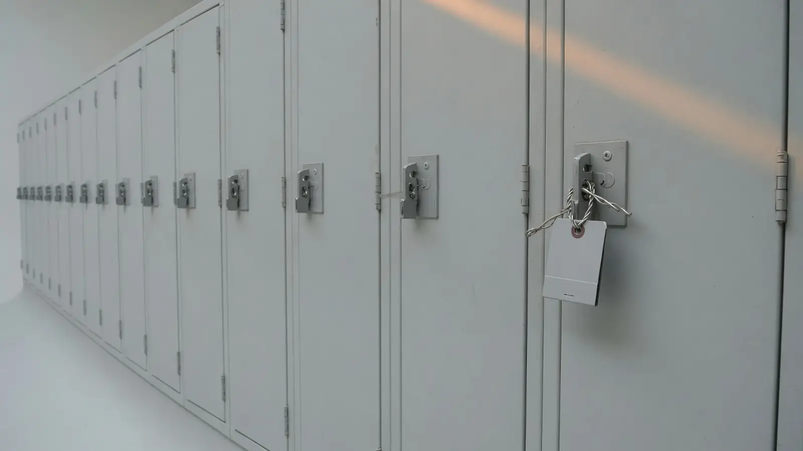 Sprachakademie Rhein-Ruhr Listed by Storm Ransomware Group
